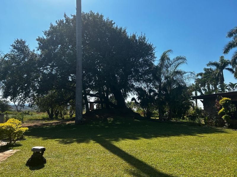 OFFERS WELCOME! Frost-Free Farm: Perfect for Farming, Lifestyle or Business Ventures - Photo 5