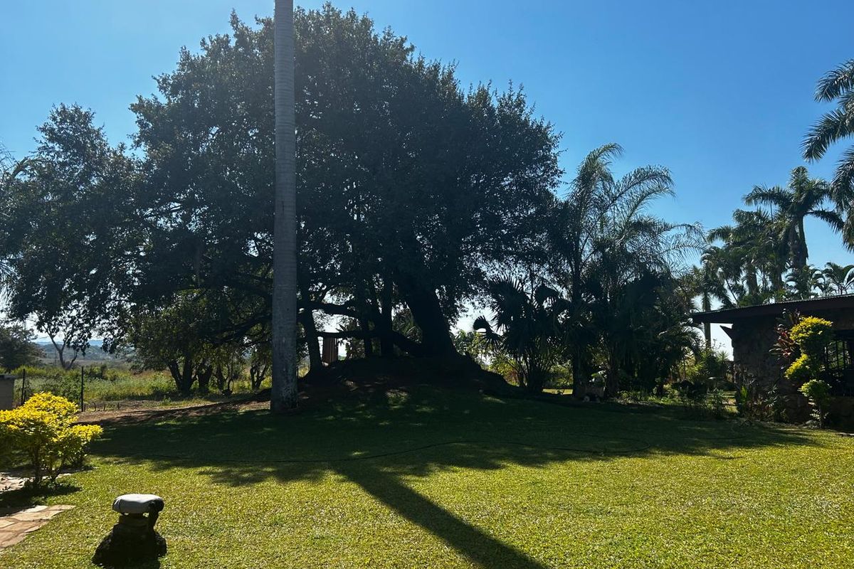 OFFERS WELCOME! Frost-Free Farm: Perfect for Farming, Lifestyle or Business Ventures - Photo 5