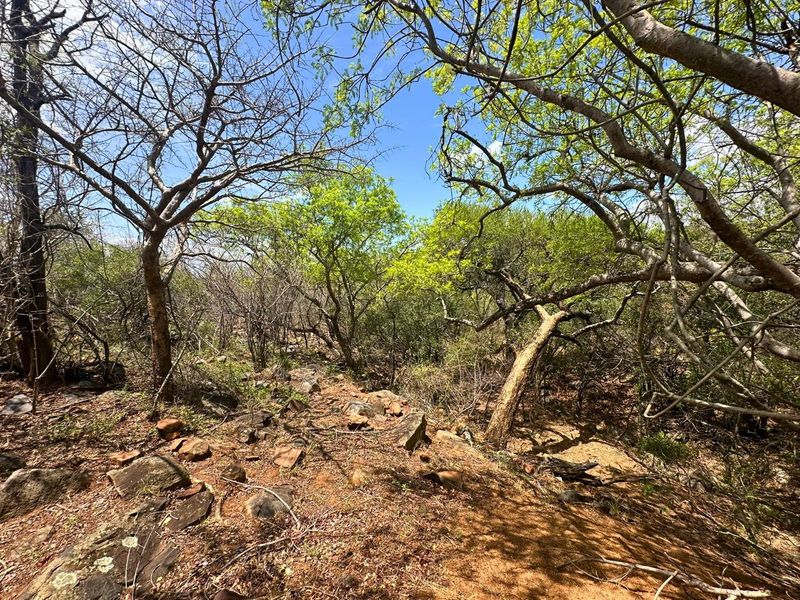 Elevated Stand with Views in Canyon Game Reserve. - Photo 4