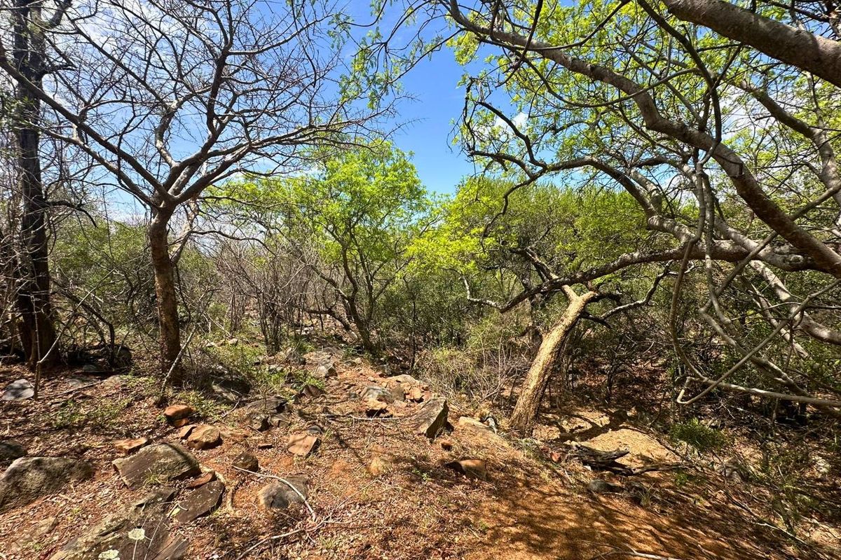 Elevated Stand with Views in Canyon Game Reserve. - Photo 4