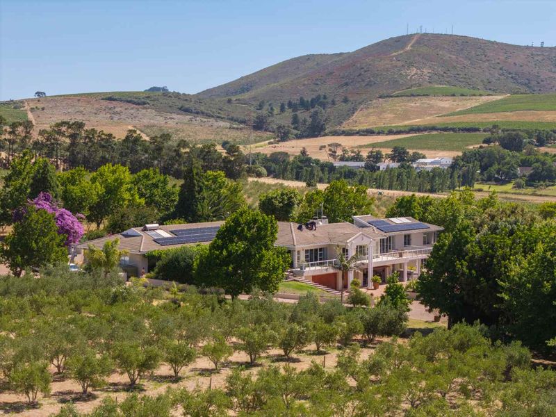 Life-style Olive Farm With Established Operations and Quality Infrastructure - Photo 9