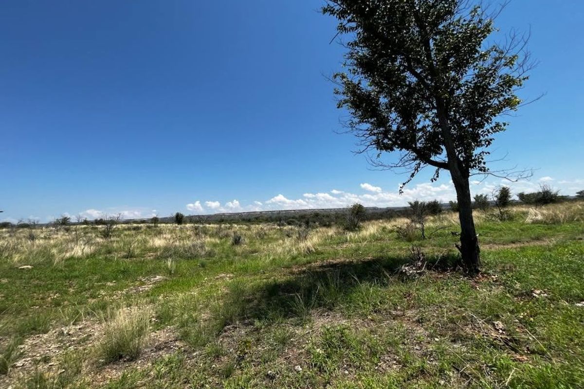 Expansive open landscape view featuring natural grassland and indigenous vegetation, characteristic of the surrounding farm terrain.