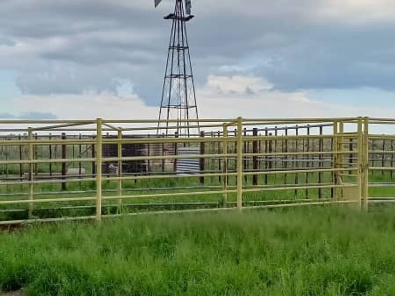 Discover the perfect blend of tranquillity and functionality with this expansive 7,800-hectare farm. - Photo 2