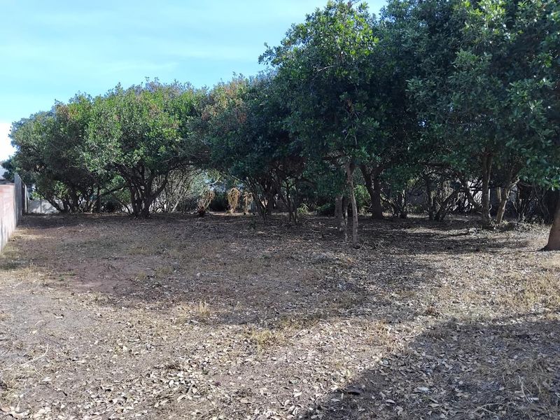 1088m2 Vacant Stand in Bergsig, Groot Brak Rivier. - Photo 3