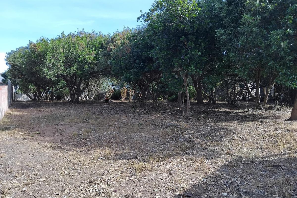 1088m2 Vacant Stand in Bergsig, Groot Brak Rivier. - Photo 3