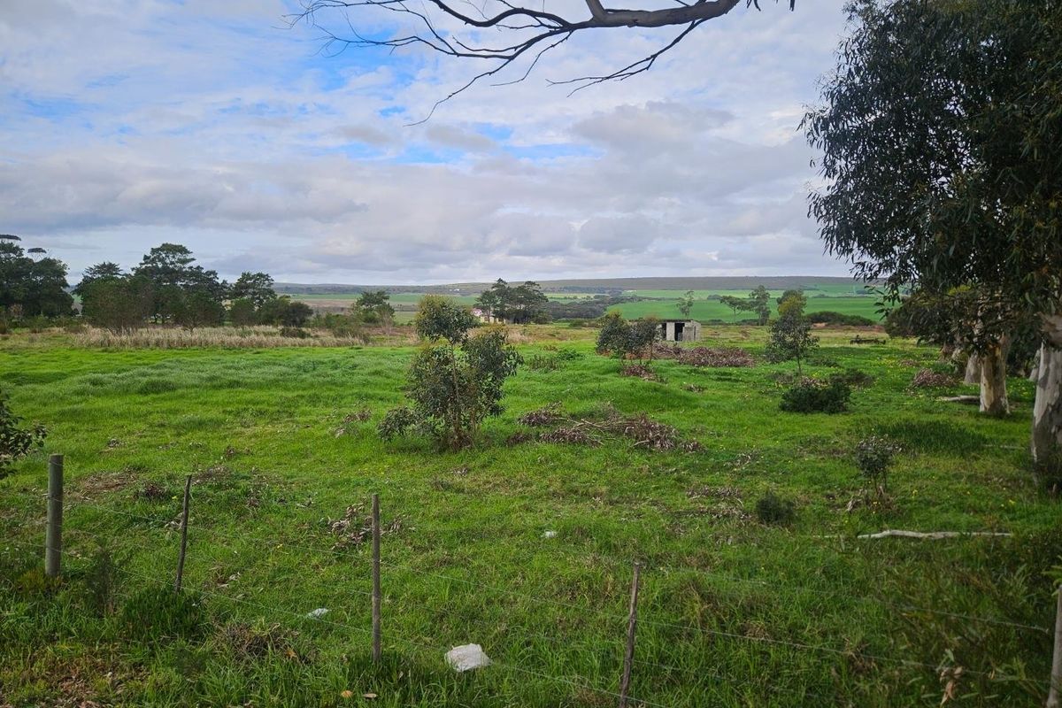 Expansive 10.97 Hectare Lifestyle Farm with Scenic Views - Photo 2
