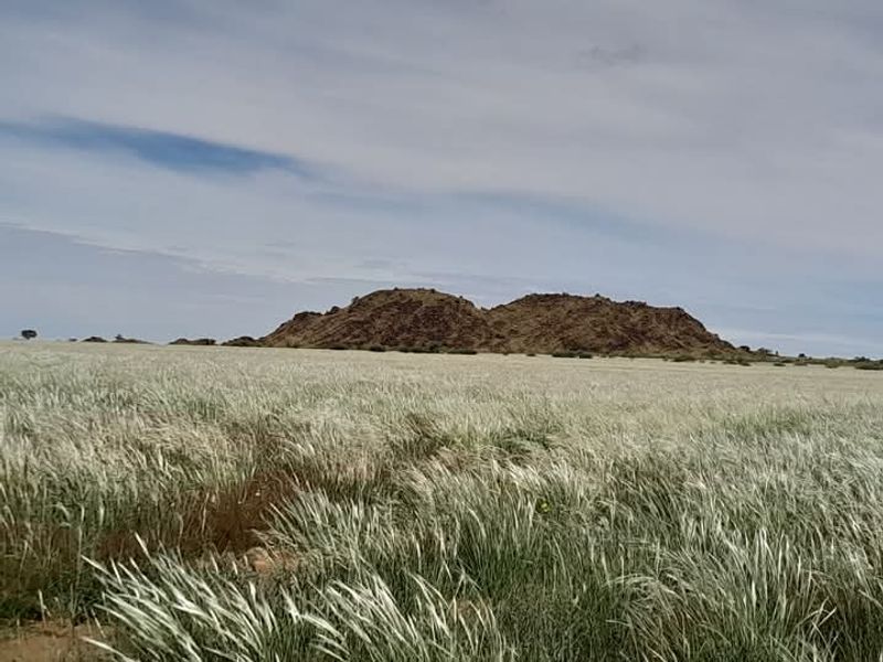 FOR SALE- FARM IN KEETMANSHOOP, NAMIBIA - Photo 10