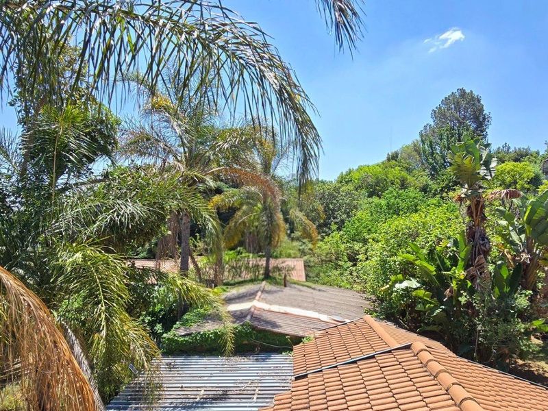 Orion's Belt - At Home Among the Stars - Photo 10