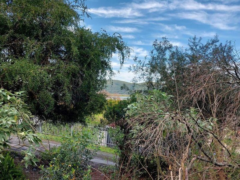 Vacant Land in Paradise - Photo 10