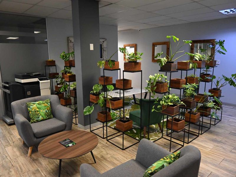 Modern office reception or breakout area featuring wood-look tile flooring, suspended ceiling, and a glass partition wall.