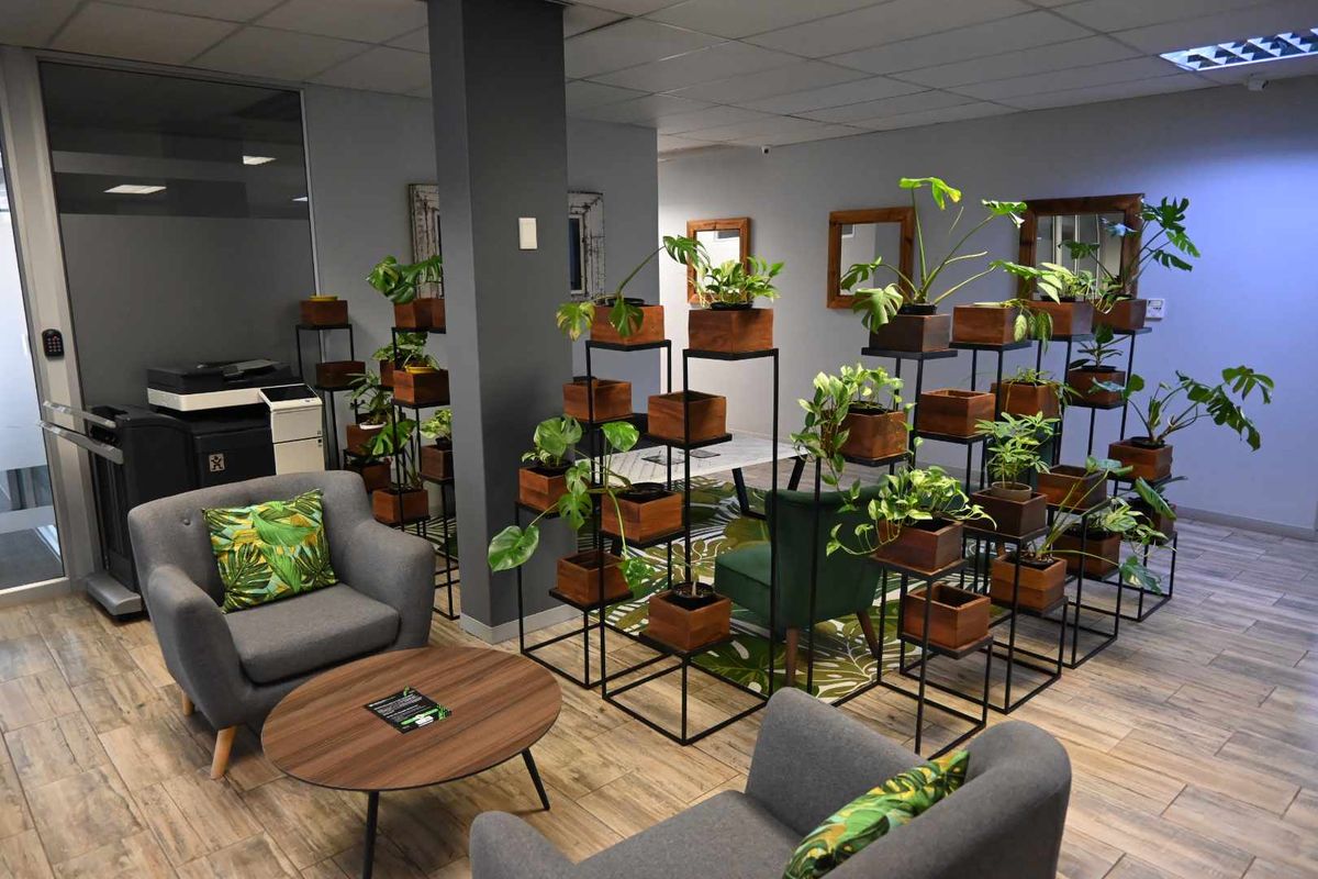 Modern office reception or breakout area featuring wood-look tile flooring, suspended ceiling, and a glass partition wall.