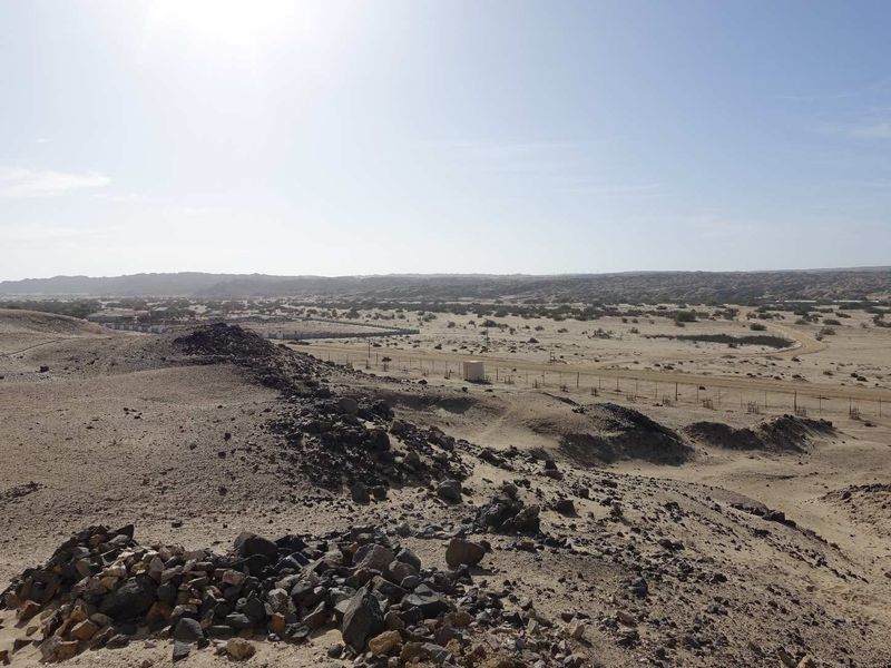 30HA SMALLHOLDING WITH DWELLINGS & FREE RANGE CHICKEN FARMING FACILITIES - Photo 7