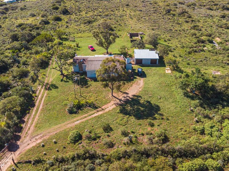 Fertile Soil & Endless Views – An Agricultural Dream Near Uitenhage. - Photo 6