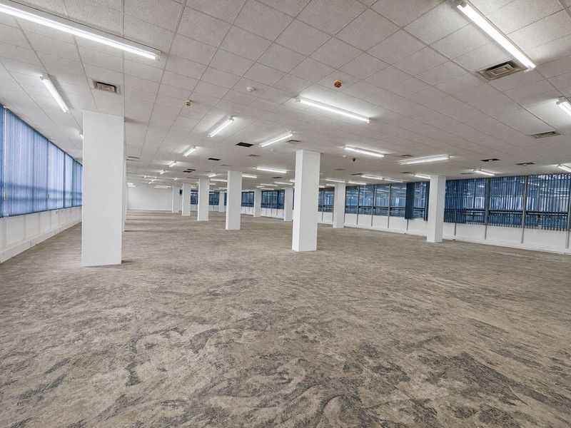 A large, open-plan office space featuring a suspended ceiling, fluorescent lighting, structural columns, and extensive window frontage with vertical blinds.
