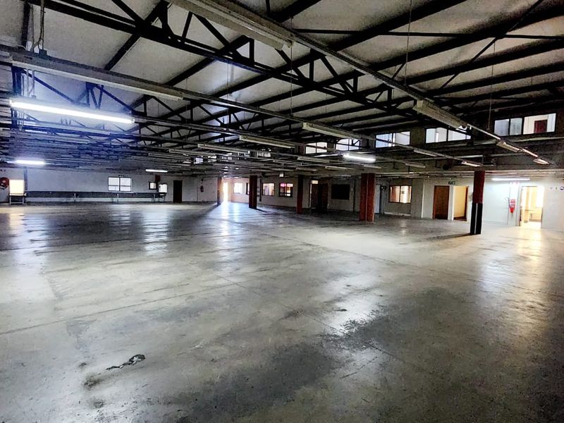 Business Property - Photo 6