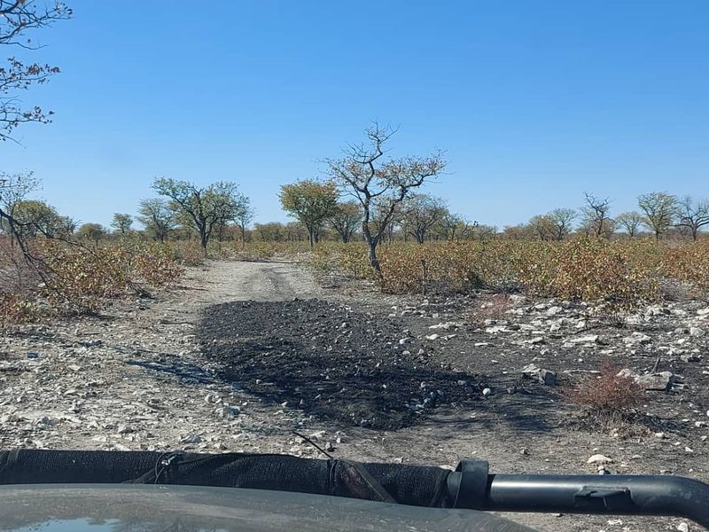 Prime Farm with Business Opportunities - For Sale - Photo 6