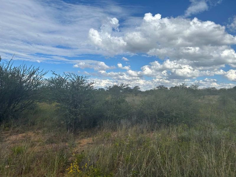 A view of the natural, undeveloped residential land featuring native shrubs and grasses under a bright, cloudy sky.
