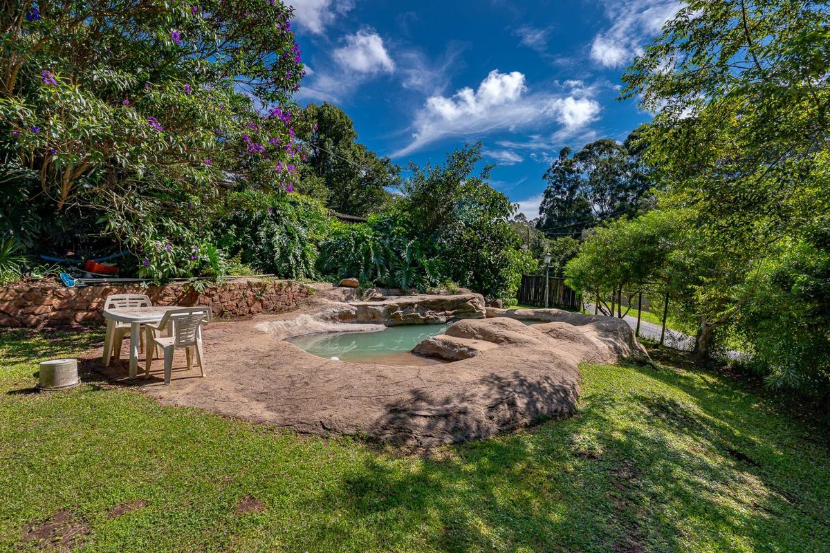 AFRICAN DREAM - Photo 3