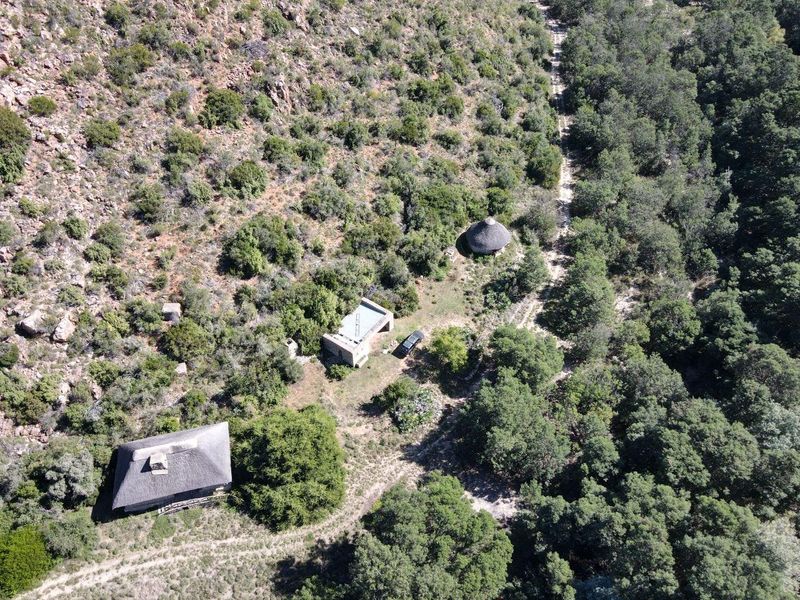 This 505-hectare off-the-grid sanctuary - Photo 10