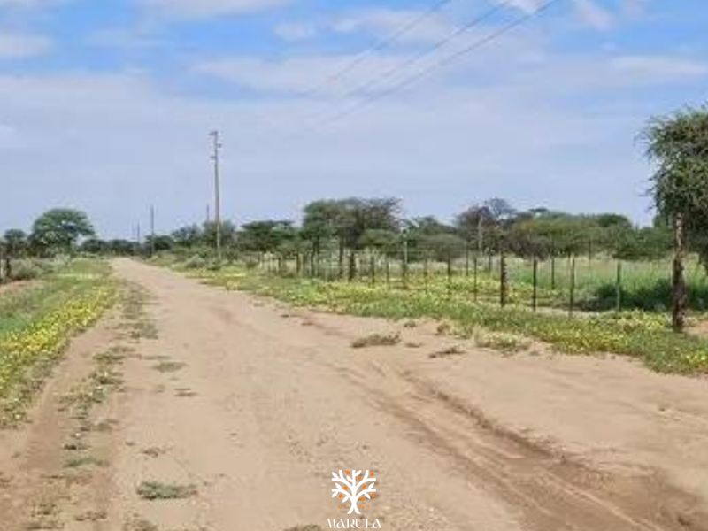 5-HECTARE PLOT AVAILABLE WITH RURAL-RESIDENTIAL ZONING - Photo 3