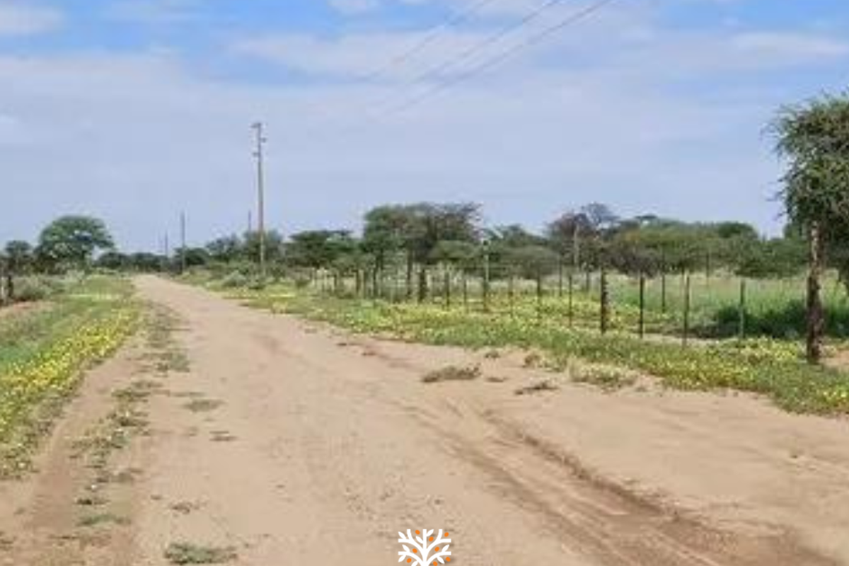 5-HECTARE PLOT AVAILABLE WITH RURAL-RESIDENTIAL ZONING - Photo 3
