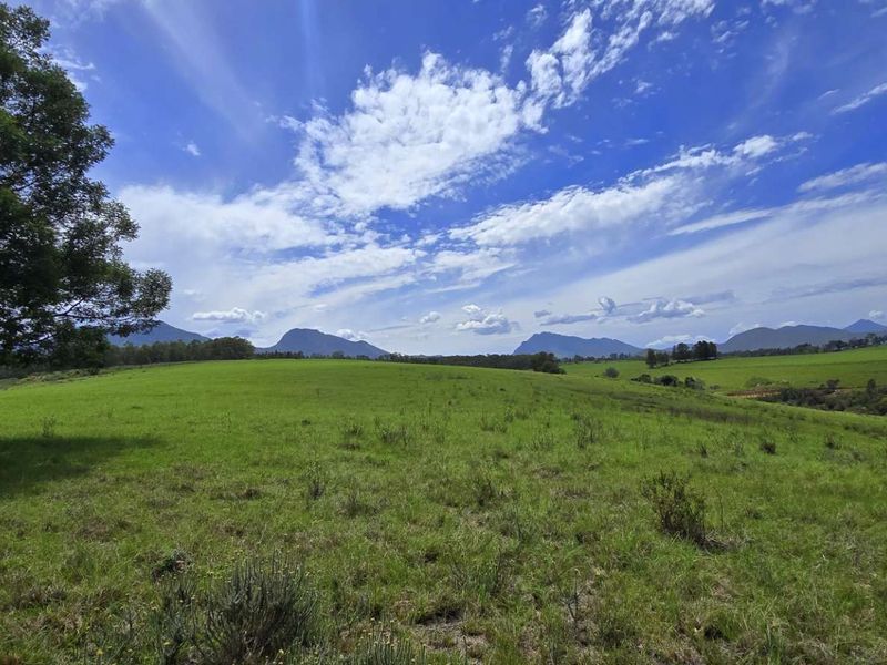 Spectacular Agricultural Opportunity in Ruiterbosch - Photo 9