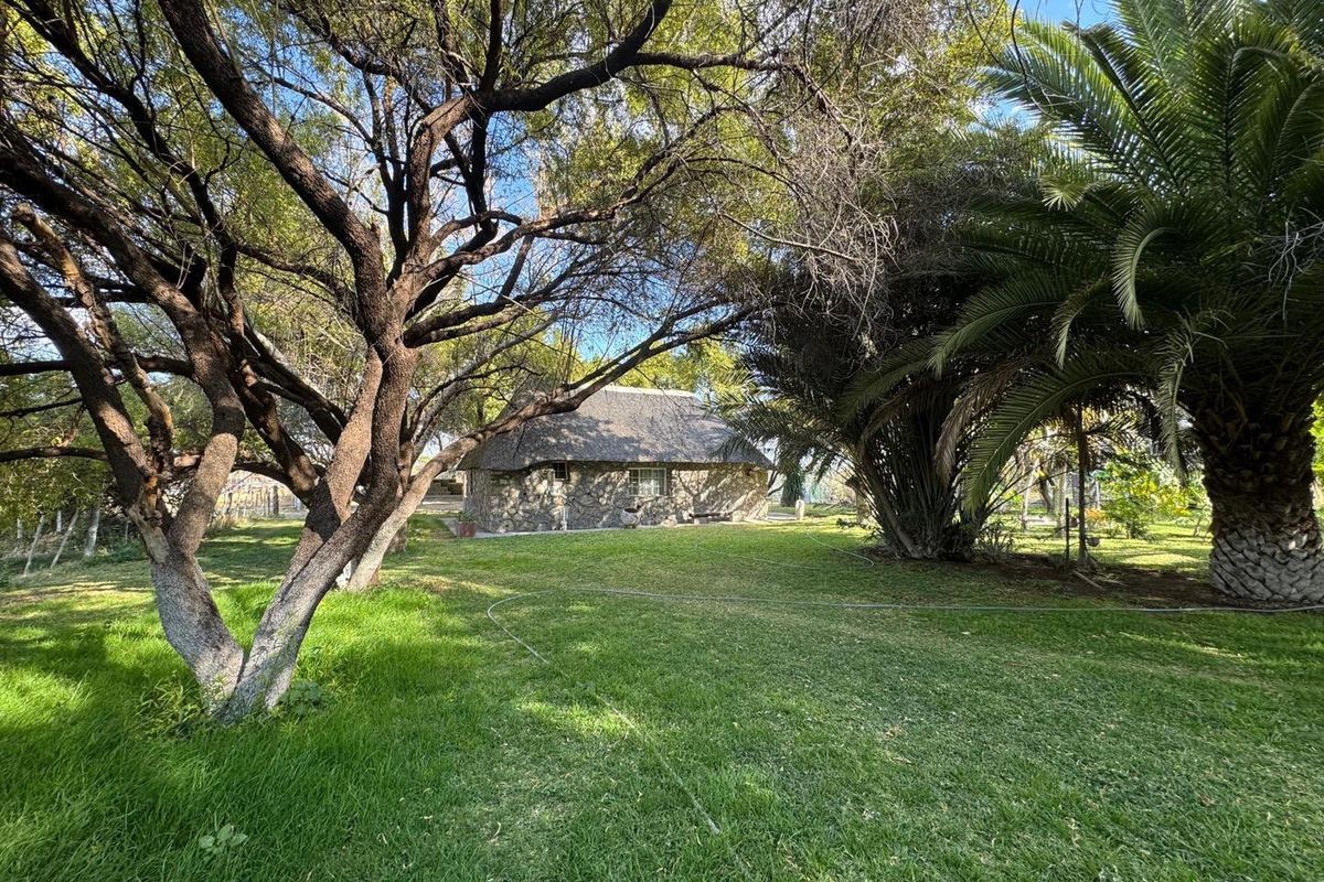 A beautiful, well-established cattle farm in the sought-after Otavi area — known for its excellent grazing and reliable rainfall. - Photo 3