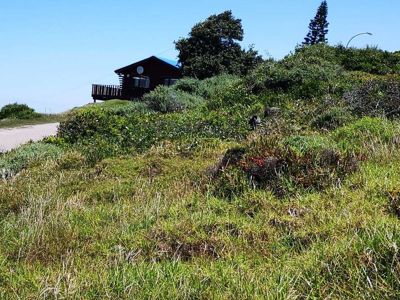 See the sea - vacant stand in Dana Bay - Photo 6