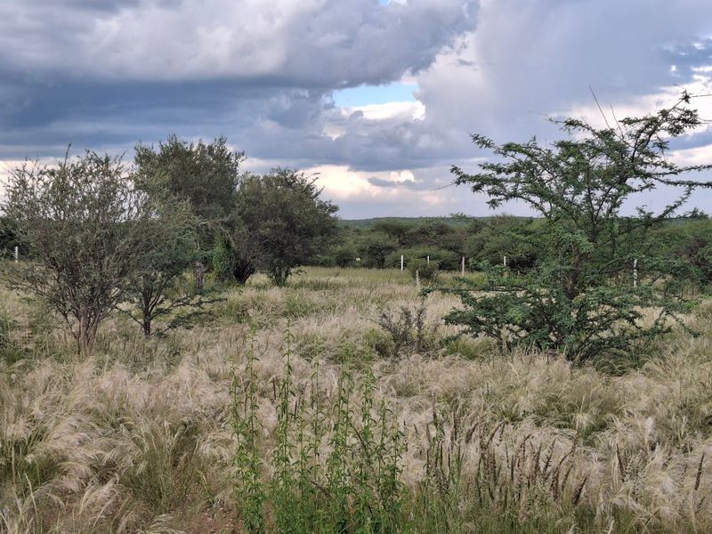 Vacant Land for sale with approved building plans - Photo 5