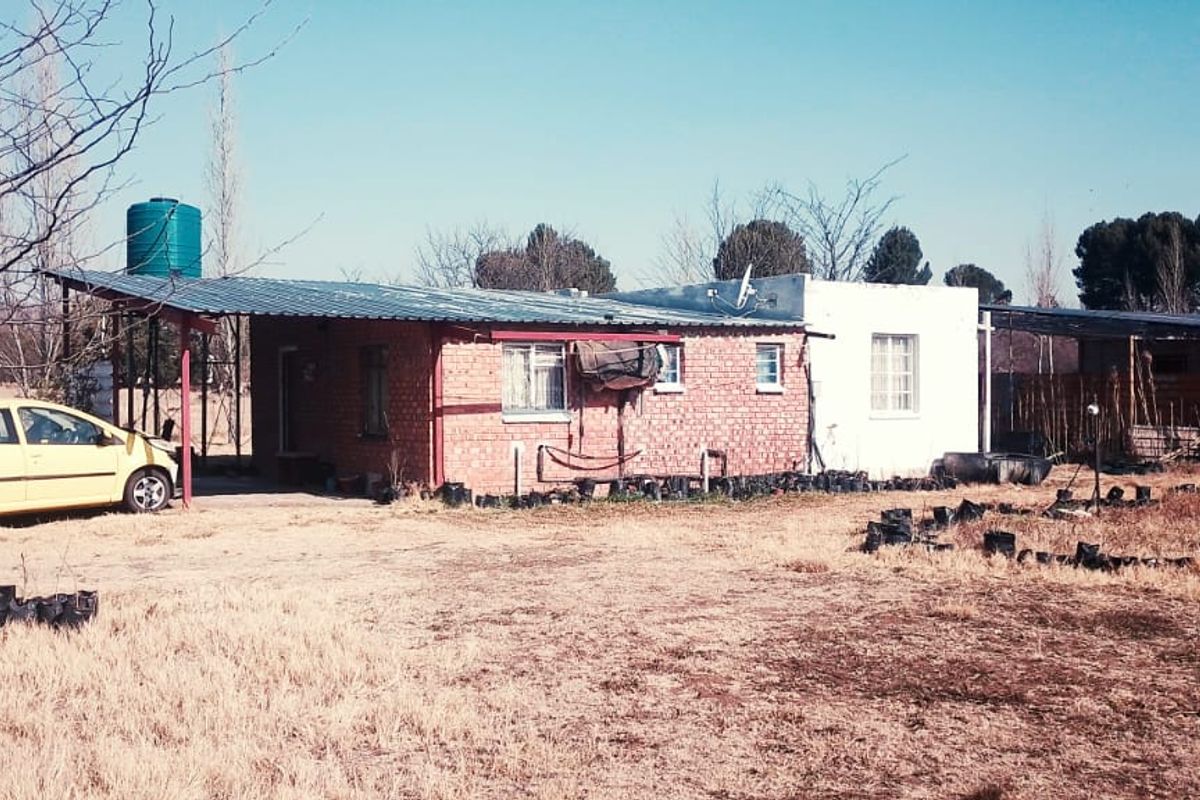 SMALL HOLDING .TWO FLATLETS.STRONG WATER. TWO BOREHOLES.SAVE AREA.CAN BUILD EASY 6 HOUSES. - Photo 2