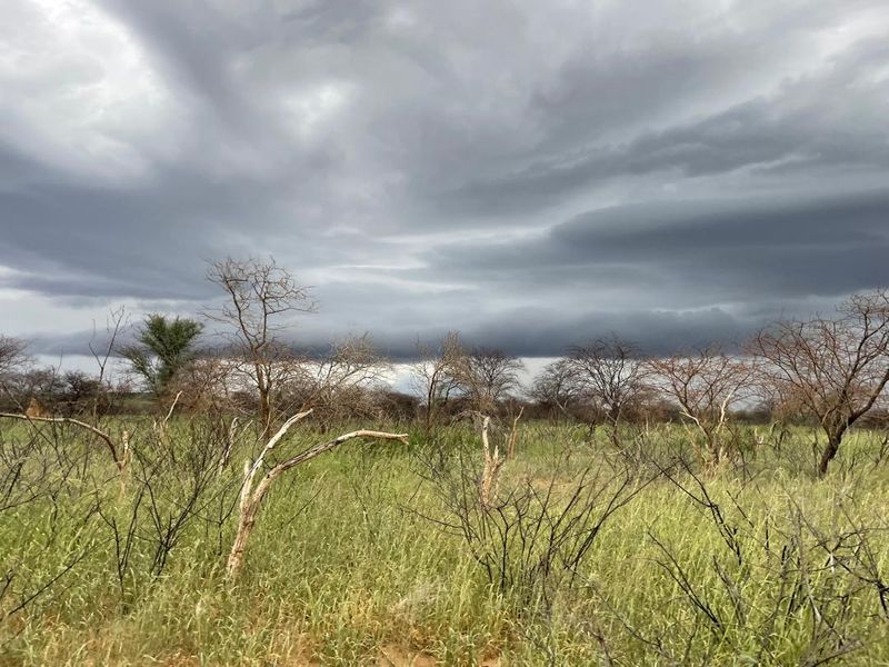 A 700 hectare farm just outside Outjo, where the bushveld opens into wide plains and clear skies, lies a well-developed farm — Ideal for irrigation & small stoc - Photo 7