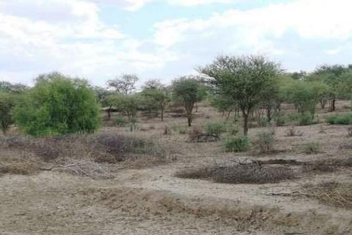 Brakwater plot for sale - Photo 3