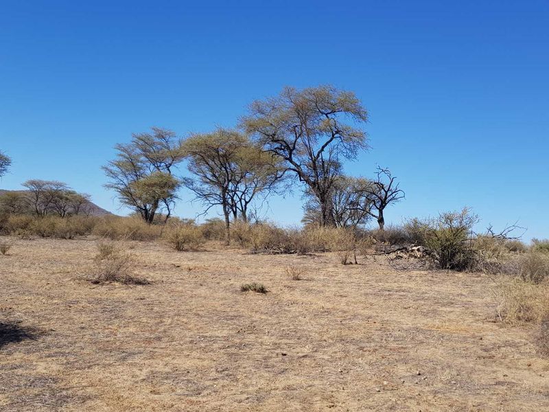 Nature Estate Plots Okahandja - Photo 2