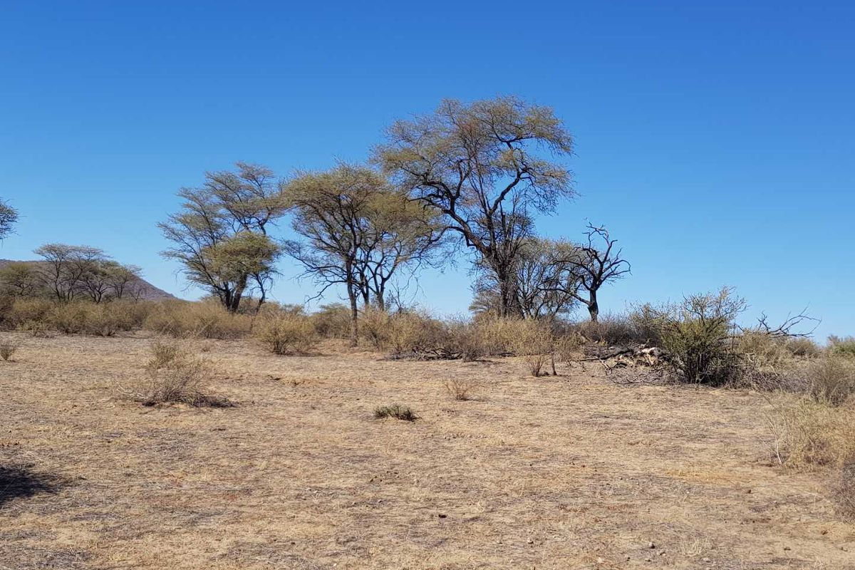 Nature Estate Plots Okahandja - Photo 2