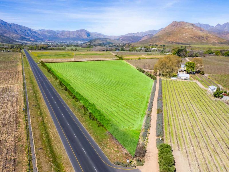 Aerial view of expansive agricultural land featuring established vineyards, bordering a main road with scenic mountain views in the background.