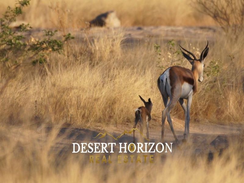 Omaruru, Erongo | Experience Farm Life at its Finest in Omaruru District - Photo 3