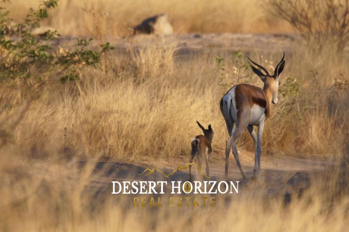 Omaruru, Erongo | Experience Farm Life at its Finest in Omaruru District - Photo 3