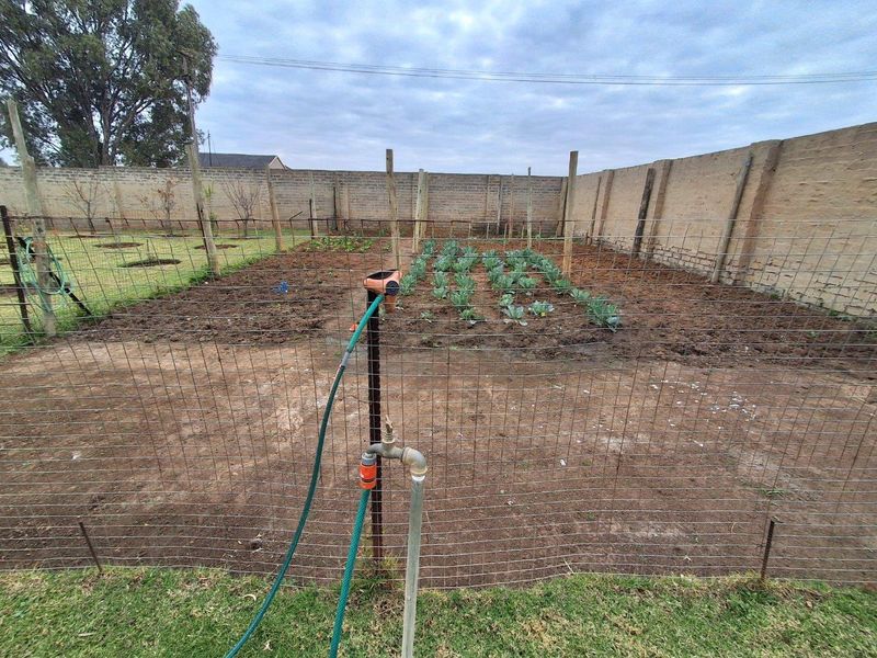 2.31 Hectare Smallholding with Fully Furnished Home and Entertainment Venue - Photo 5