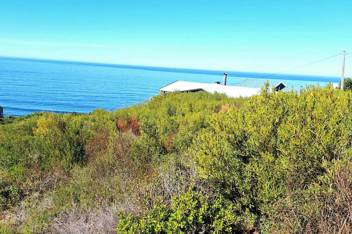 Spectacular 900m2 Vacant Land for Sale in Dana Bay - Photo 3