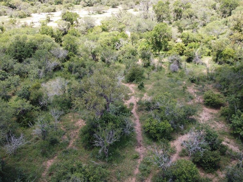 Vacant Land in MODITLO NATURE RESERVE - Photo 7