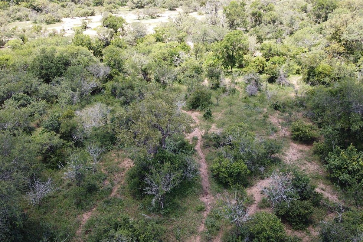 An aerial view of a vacant residential plot featuring dense indigenous bushveld vegetation and natural terrain.