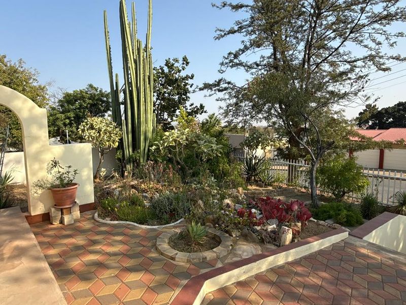 Set high above street level on a massive erf with a large front garden and elevated views - Photo 2