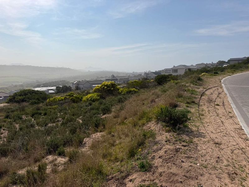 A view of the surrounding residential landscape and natural vegetation from the edge of a paved road on the vacant land plot.