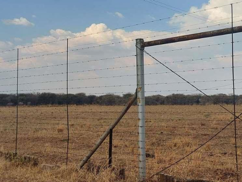 Prime 78-Hectare Farm: Comfort and Convenience Near Naboomspruit - Photo 5