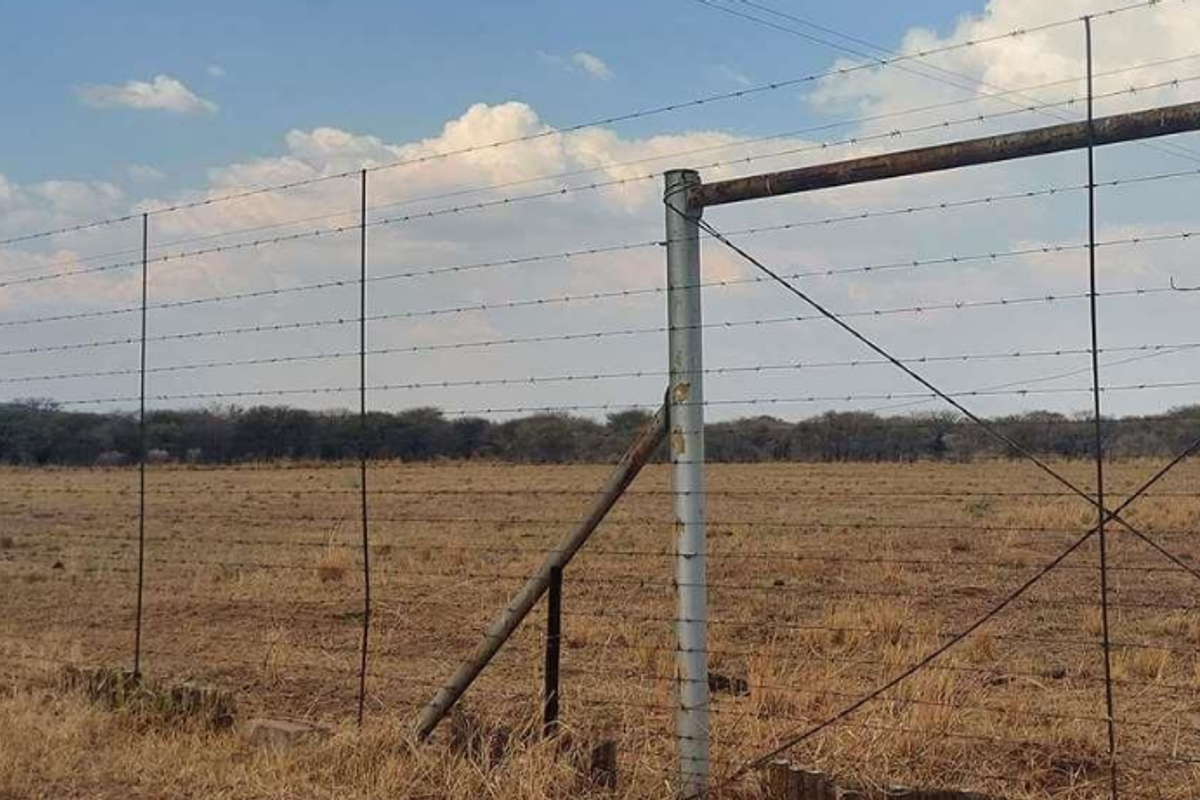 Prime 78-Hectare Farm: Comfort and Convenience Near Naboomspruit - Photo 5