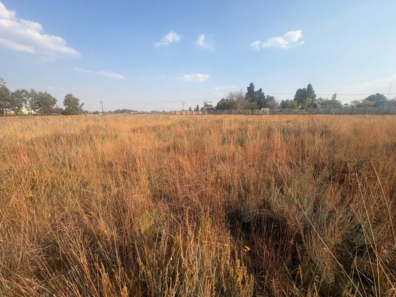 Vacant Land with Endless Potential - Photo 4