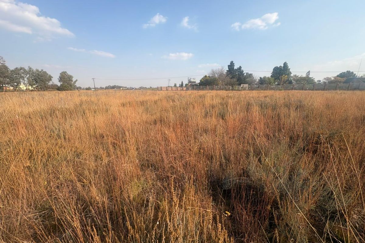 Vacant Land with Endless Potential - Photo 4