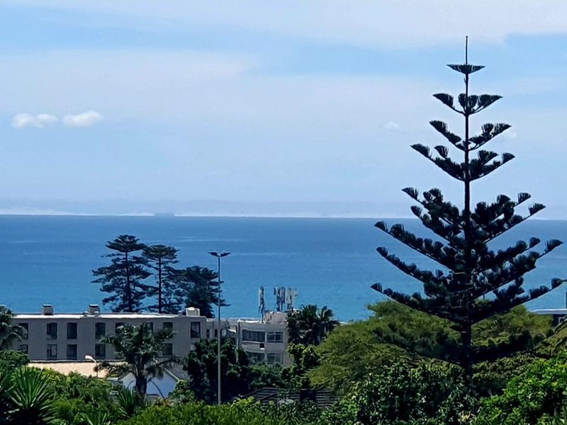 A scenic elevated view overlooking the coastline, featuring mature trees and surrounding residential buildings under a clear blue sky.