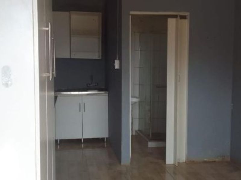 An open-plan living area featuring a compact kitchenette with built-in cabinetry and an adjacent bathroom with a shower enclosure.