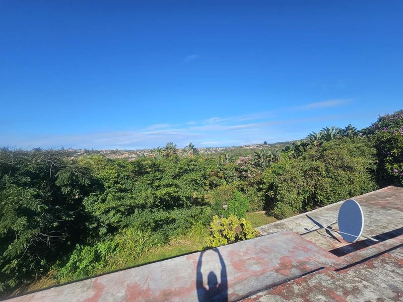 An elevated view overlooking lush greenery and the surrounding neighborhood, featuring a satellite dish mounted on the weathered roof surface.